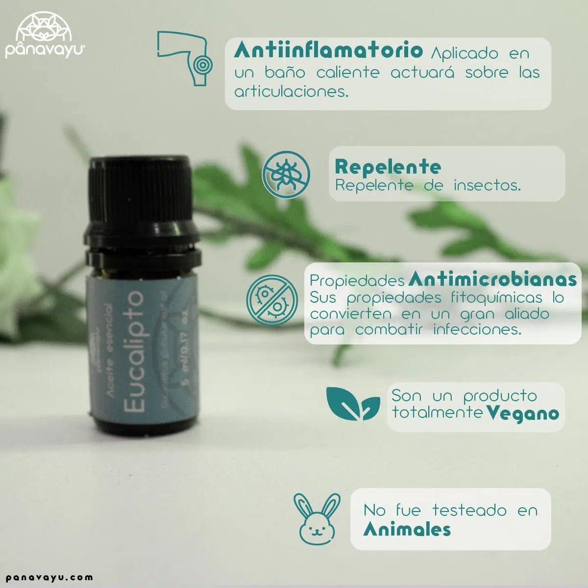 Aceite esencial de Eucalipto - Panavayú