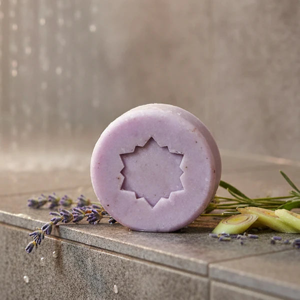 Shampoo sólido balance - cabello Normal / seco