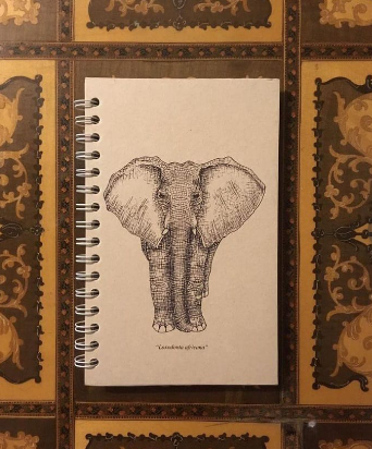 Libretas Ecológicas Cetus