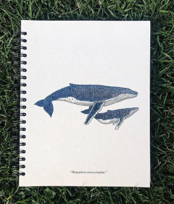 Libretas Ecológicas Cetus
