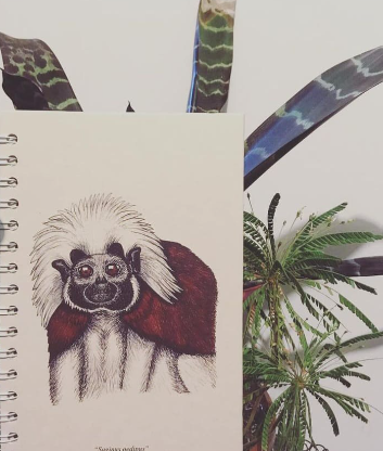 Libretas Ecológicas Cetus