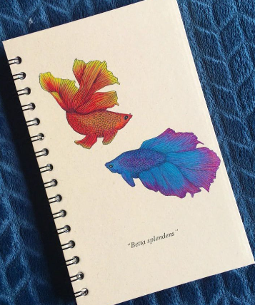 Libretas Ecológicas Cetus