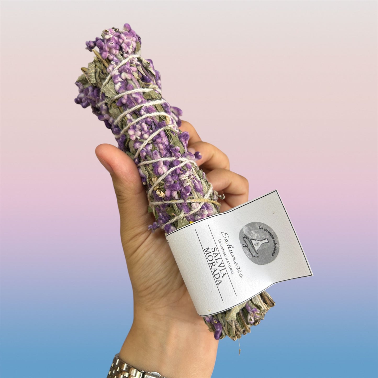 Salvia Morada