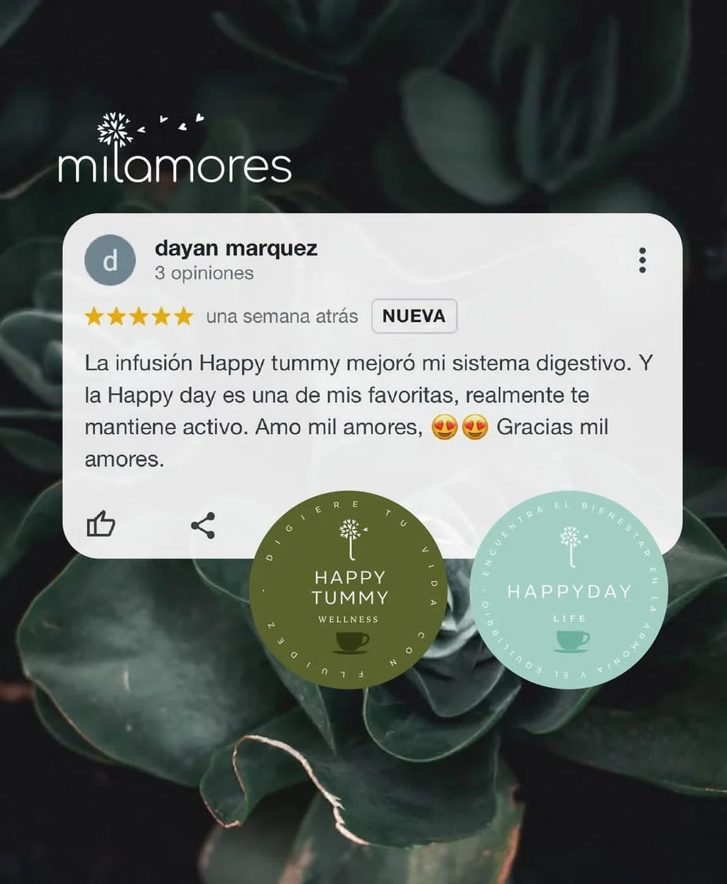 HappyDay - Mejora el sistema inmunológico