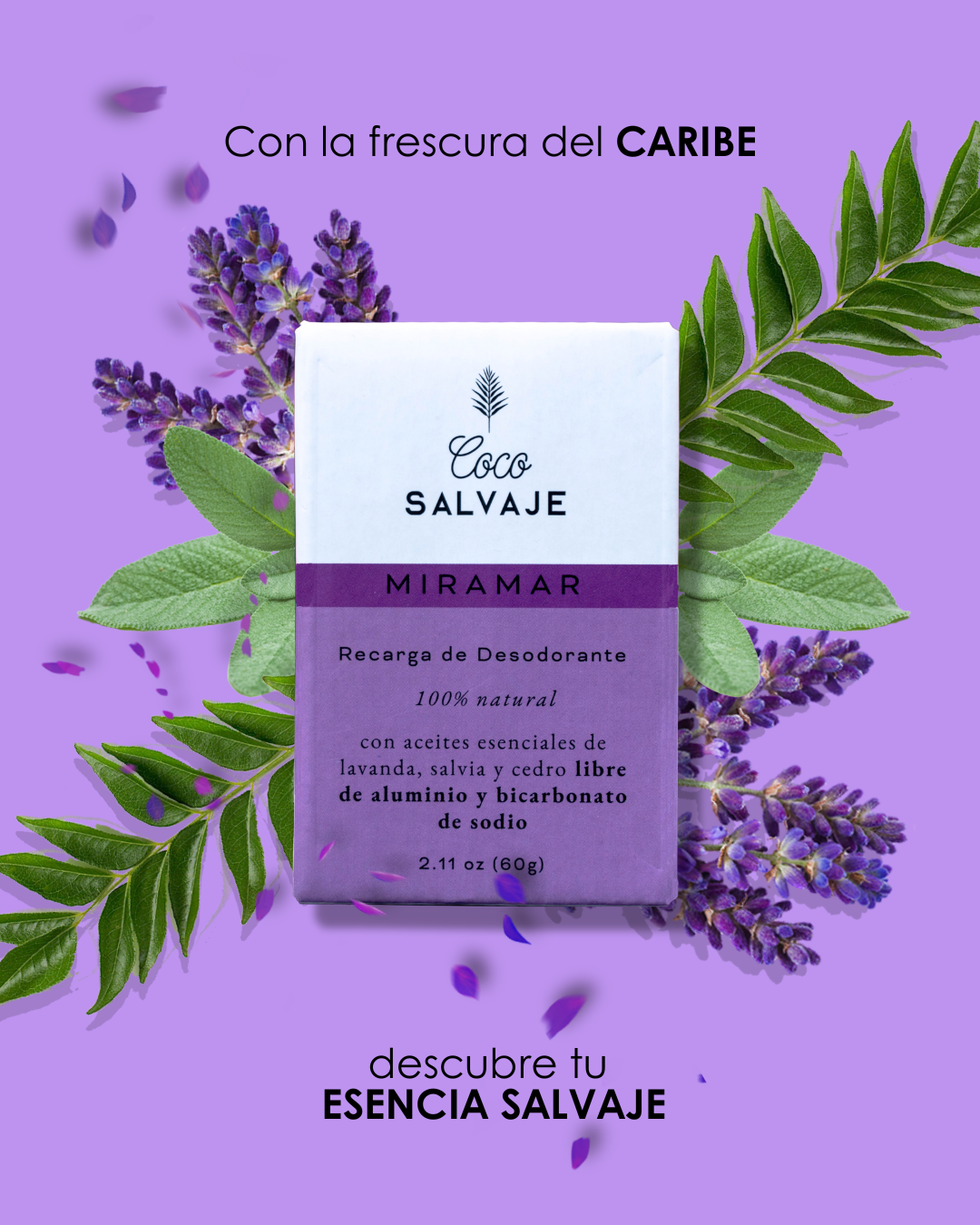 Coco Salvaje
