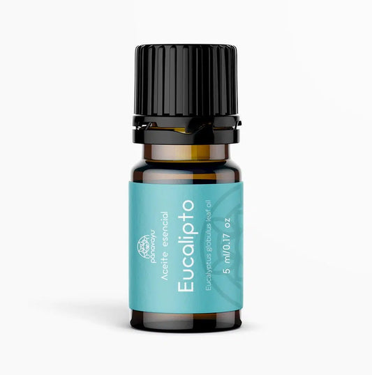 Aceite esencial de Eucalipto - Panavayú