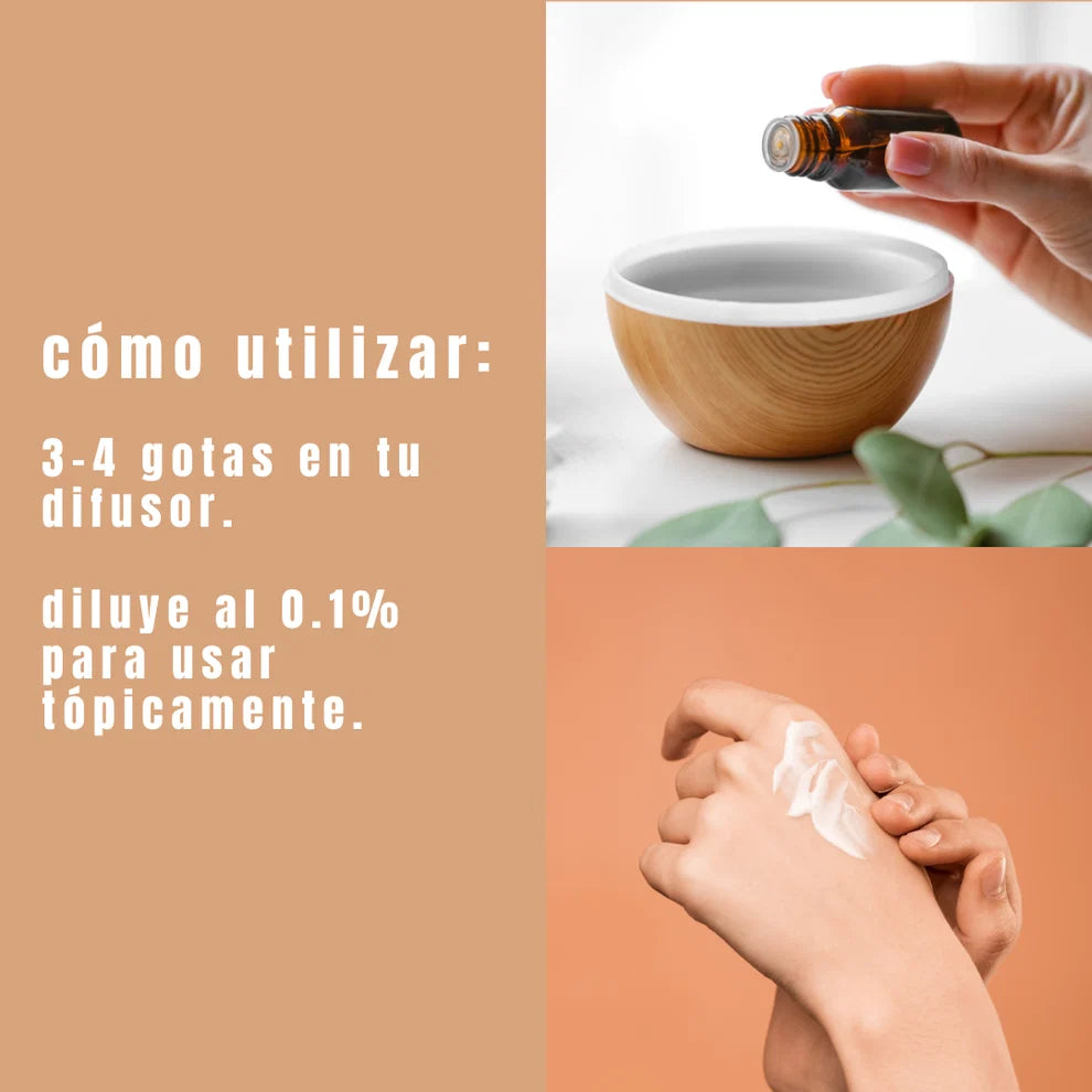 Aceite esencial de canela 100%  puro