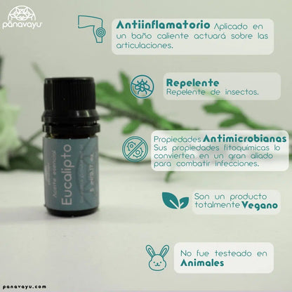 Aceite esencial de Eucalipto - Panavayú