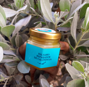 Bálsamo Reparador de Caléndula – Calmante, Antiinflamatorio y Natural