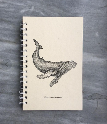 Libretas Ecológicas Cetus