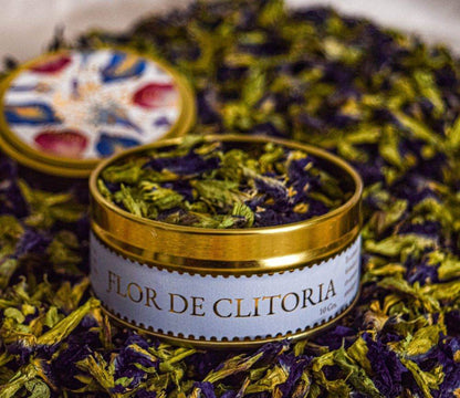 Flor de Clitoria ternatea