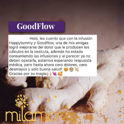 GoodFlow Infusión- Regula colesterol y azúcar