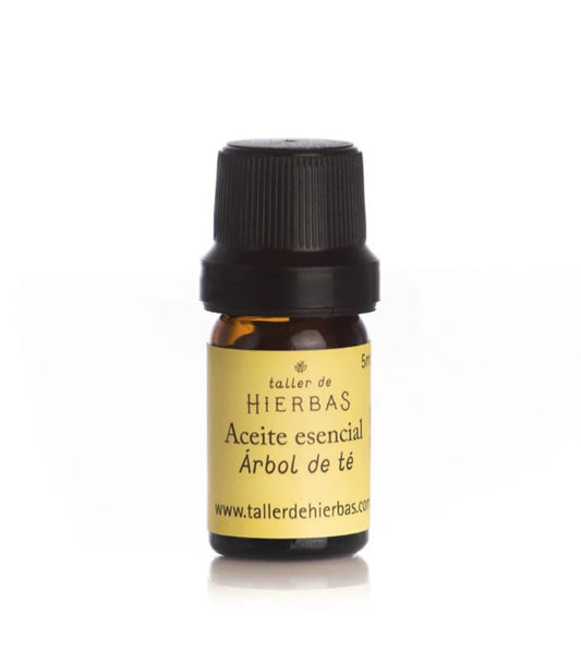 Aceite esencial de Árbol de té - Taller de Hierbas
