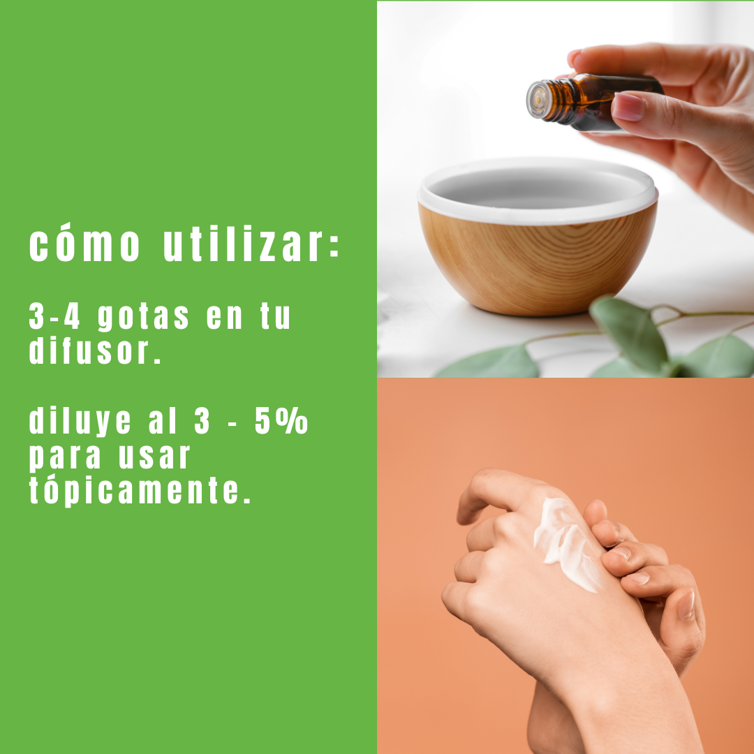 Aceite esencial de Alcanfor
