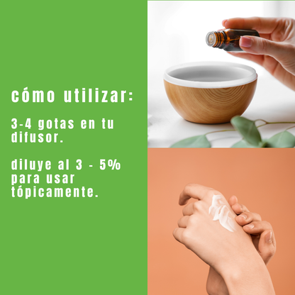 Aceite esencial de Alcanfor