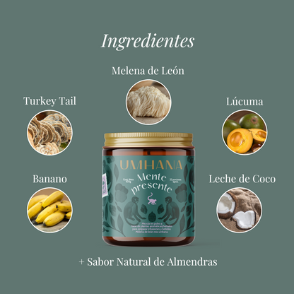 Mente Presente: Mezcla para el cerebro, memoria y concentración 50gr