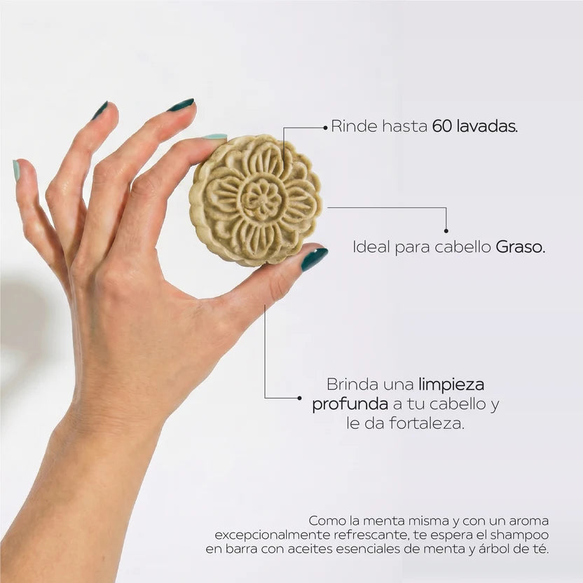 Shampoo Control Grasa & Anticaspa - Menta y Árbol de té