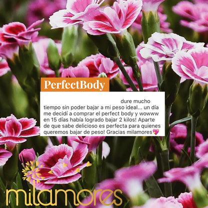 Perfect Body- Reduce ansiedad por comer