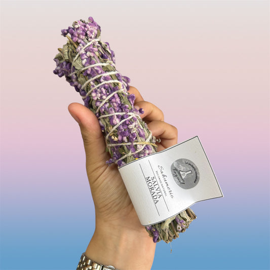 Salvia Morada