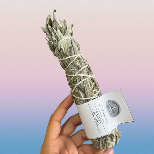 Salvia Blanca