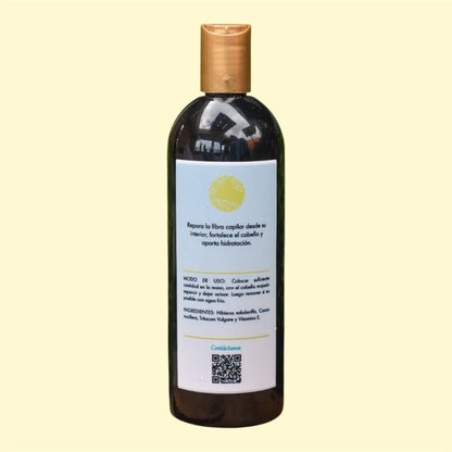 Shampoo Artesanal de Coco - Raíces 500ml