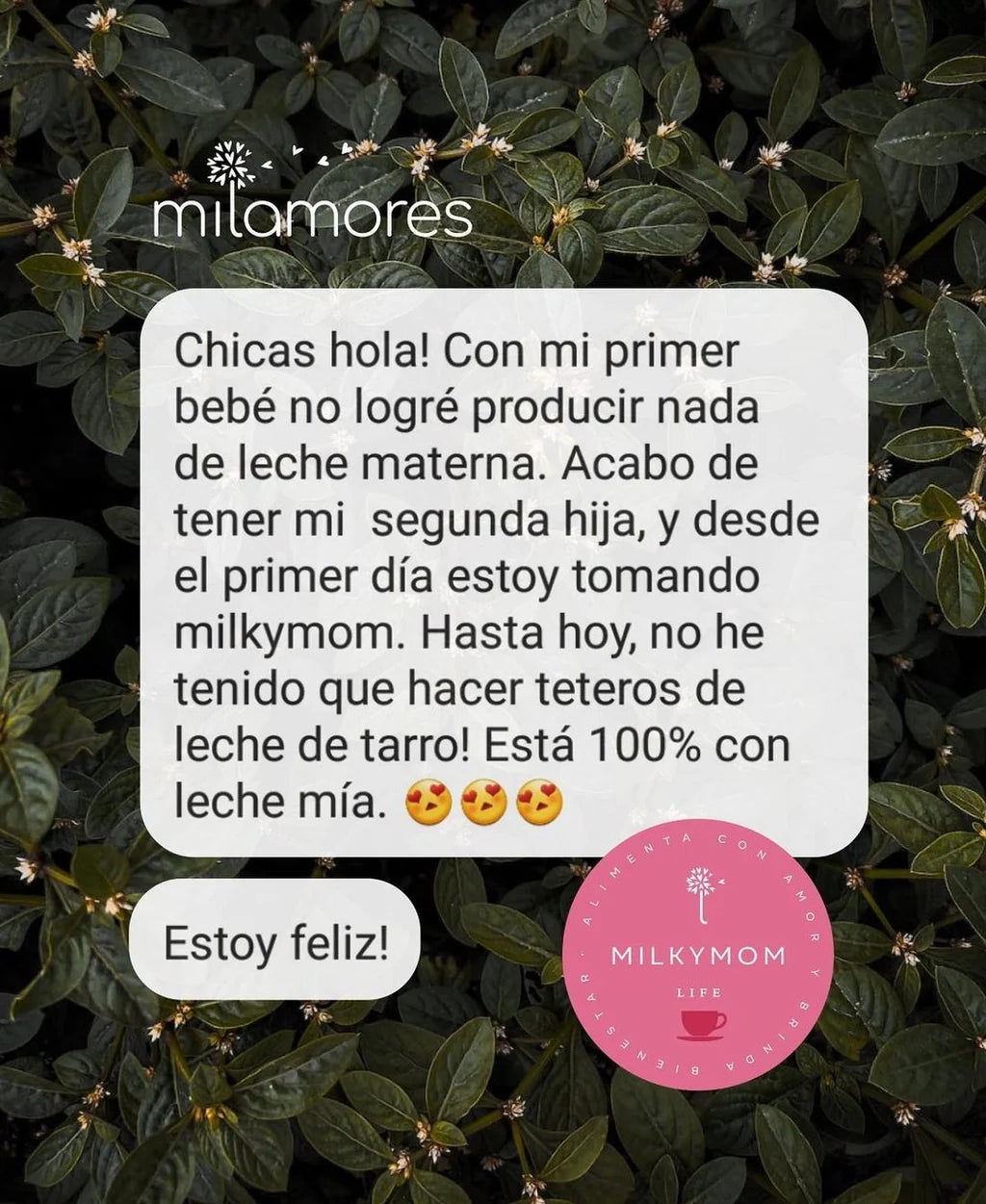 Milky mom - Infusión para la Producción de leche materna