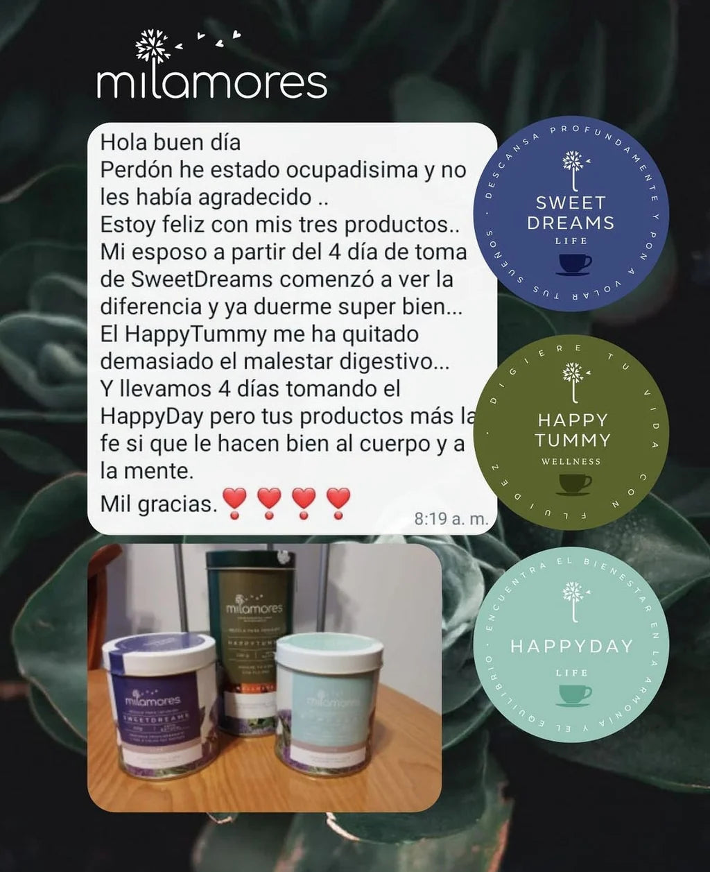 HappyDay - Mejora el sistema inmunológico
