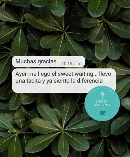 Sweet Waiting - Salud durante la gestación