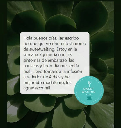 Sweet Waiting - Salud durante la gestación