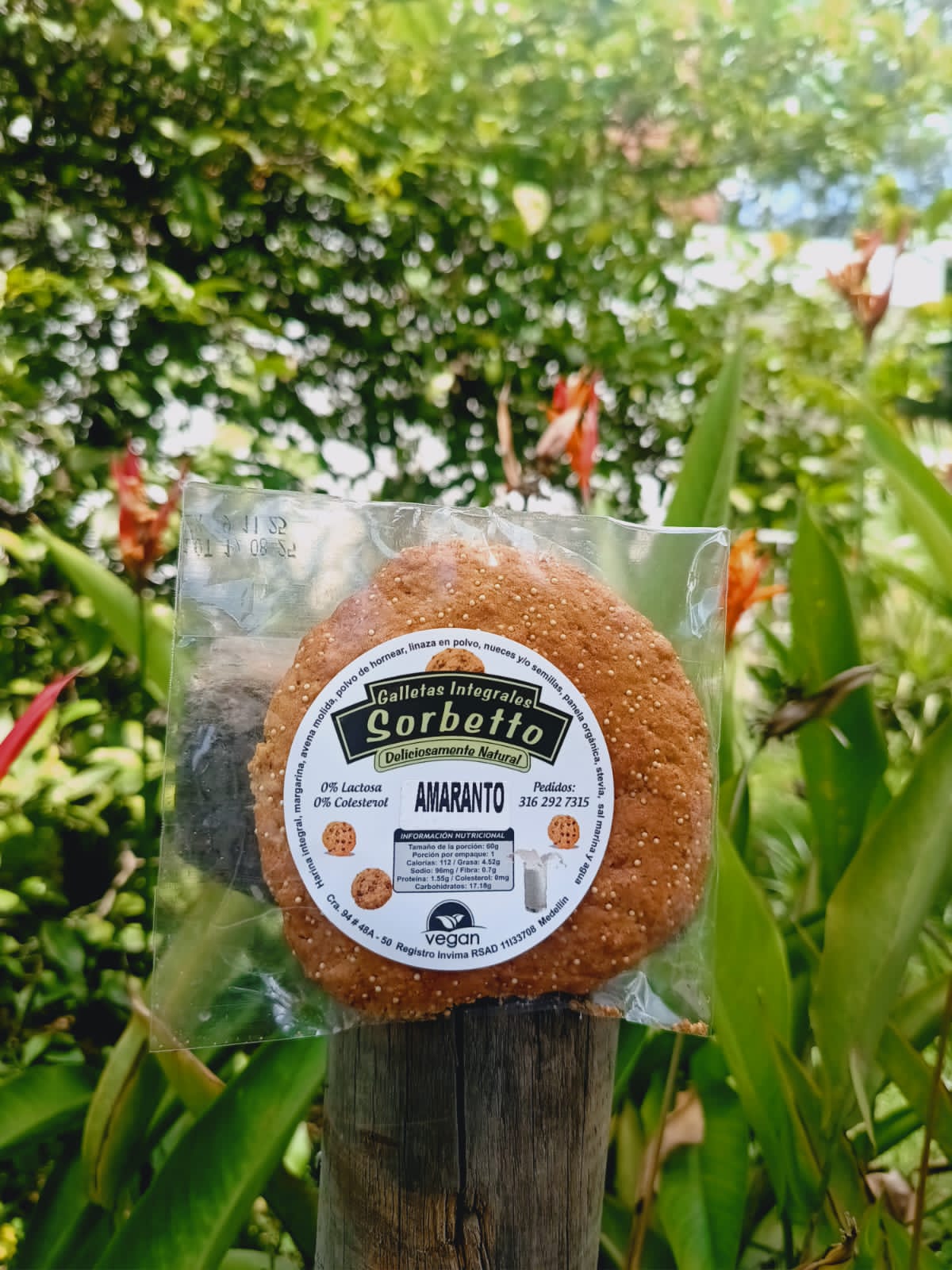 Galleta integral Sorbetto