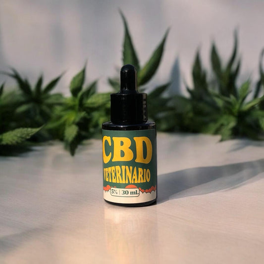CBD Veterinario