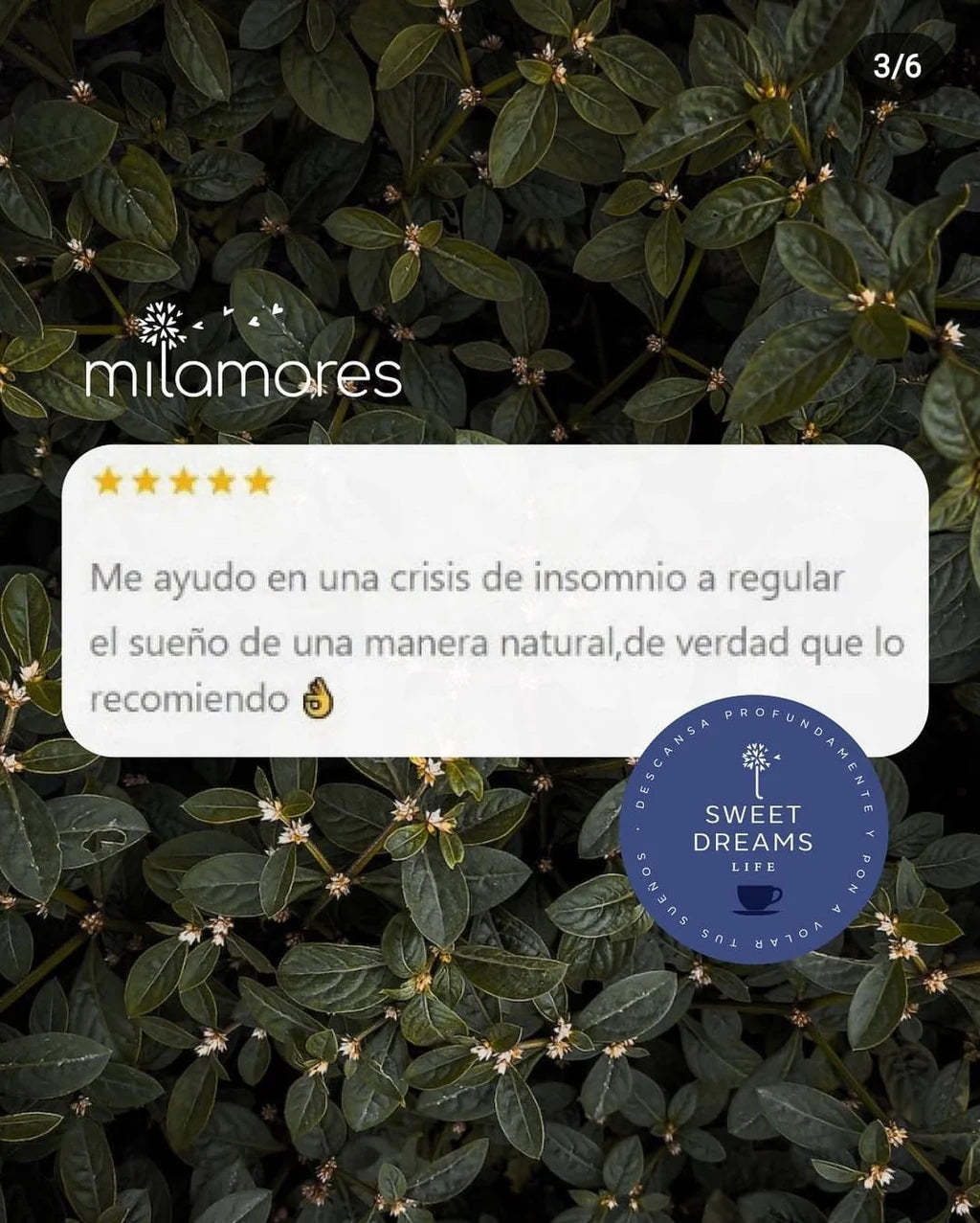SweetDreams - Ayuda a conciliar el sueño
