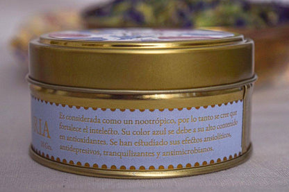 Flor de Clitoria ternatea