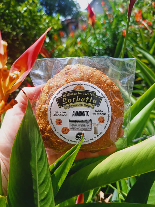 Galleta integral Sorbetto